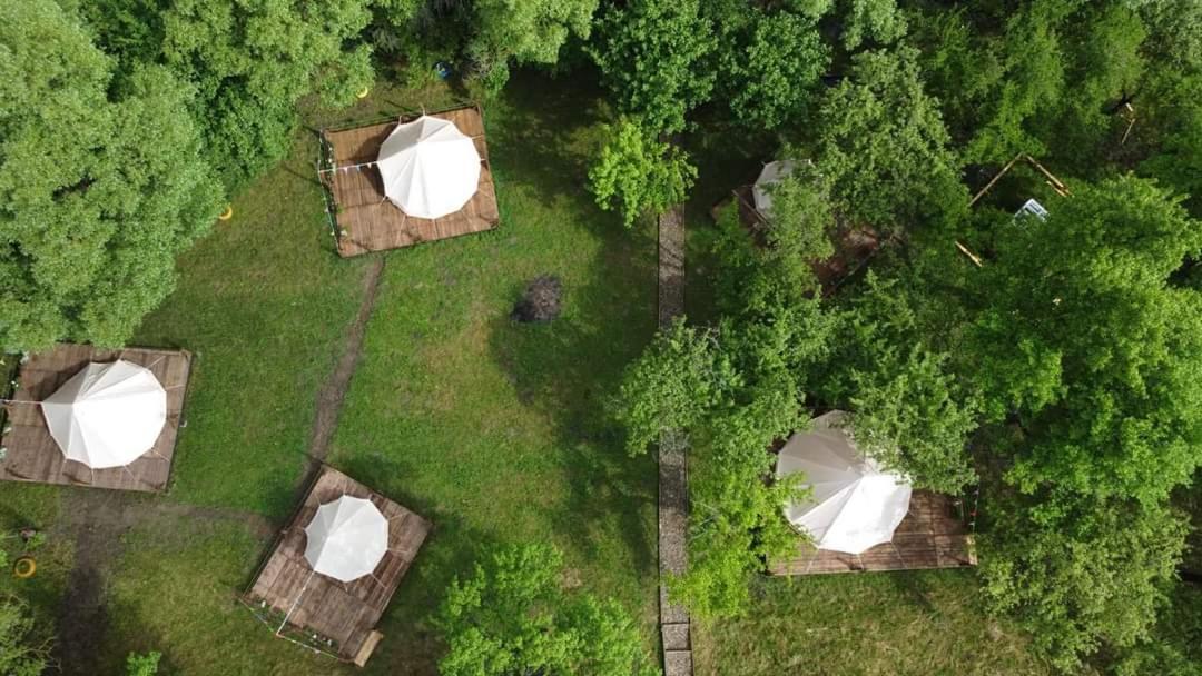 My Lake Glamping Dalnic Εξωτερικό φωτογραφία
