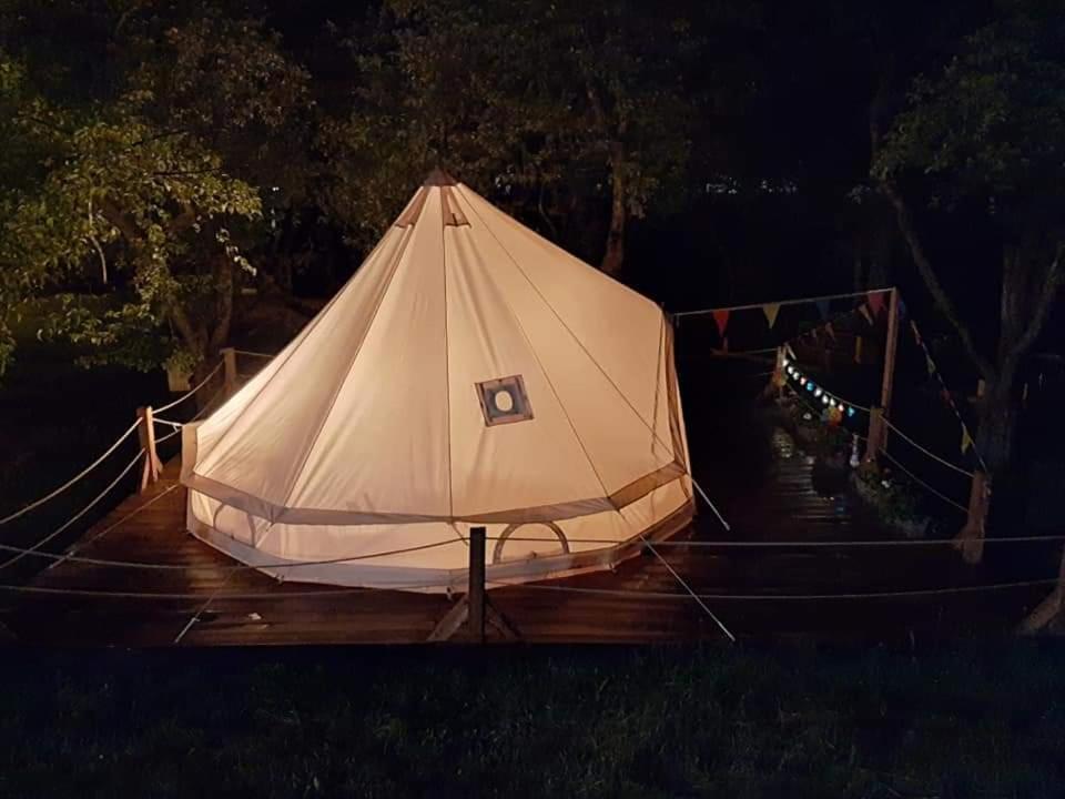 My Lake Glamping Dalnic Εξωτερικό φωτογραφία