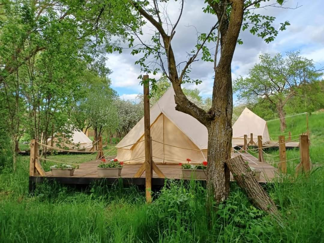 My Lake Glamping Dalnic Εξωτερικό φωτογραφία
