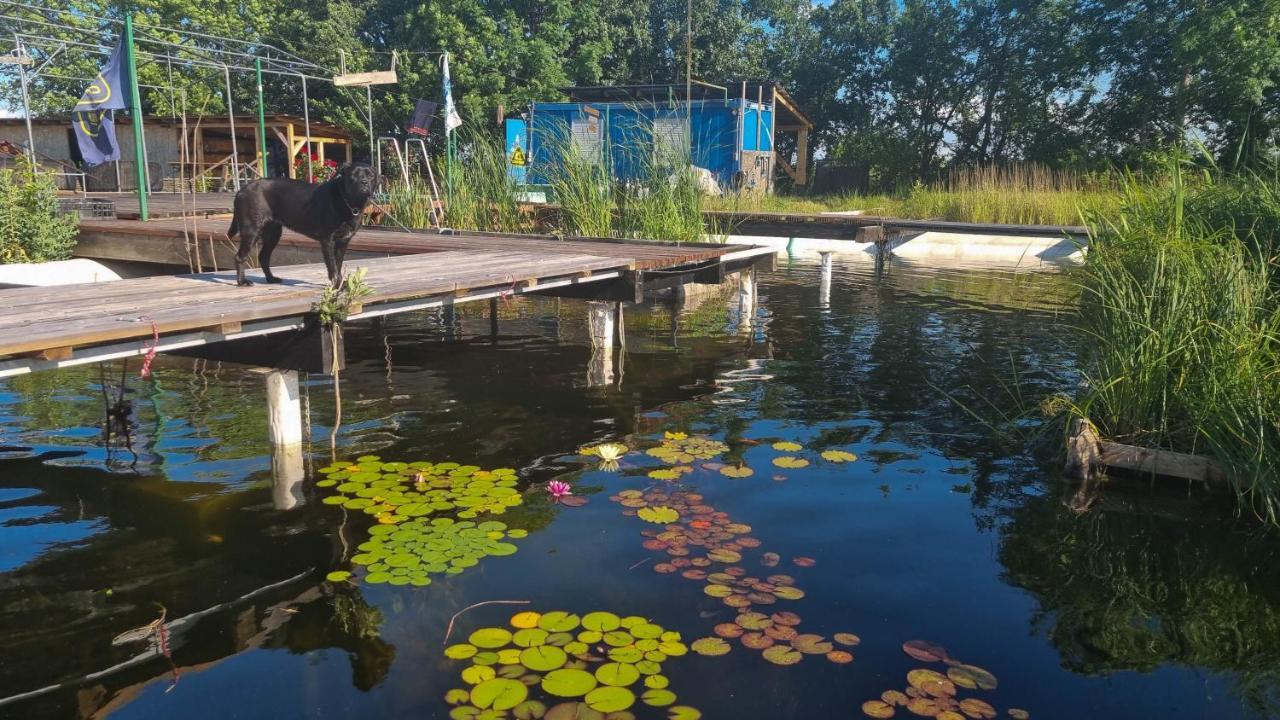 My Lake Glamping Dalnic Εξωτερικό φωτογραφία
