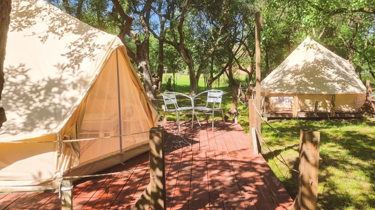 My Lake Glamping Dalnic Εξωτερικό φωτογραφία