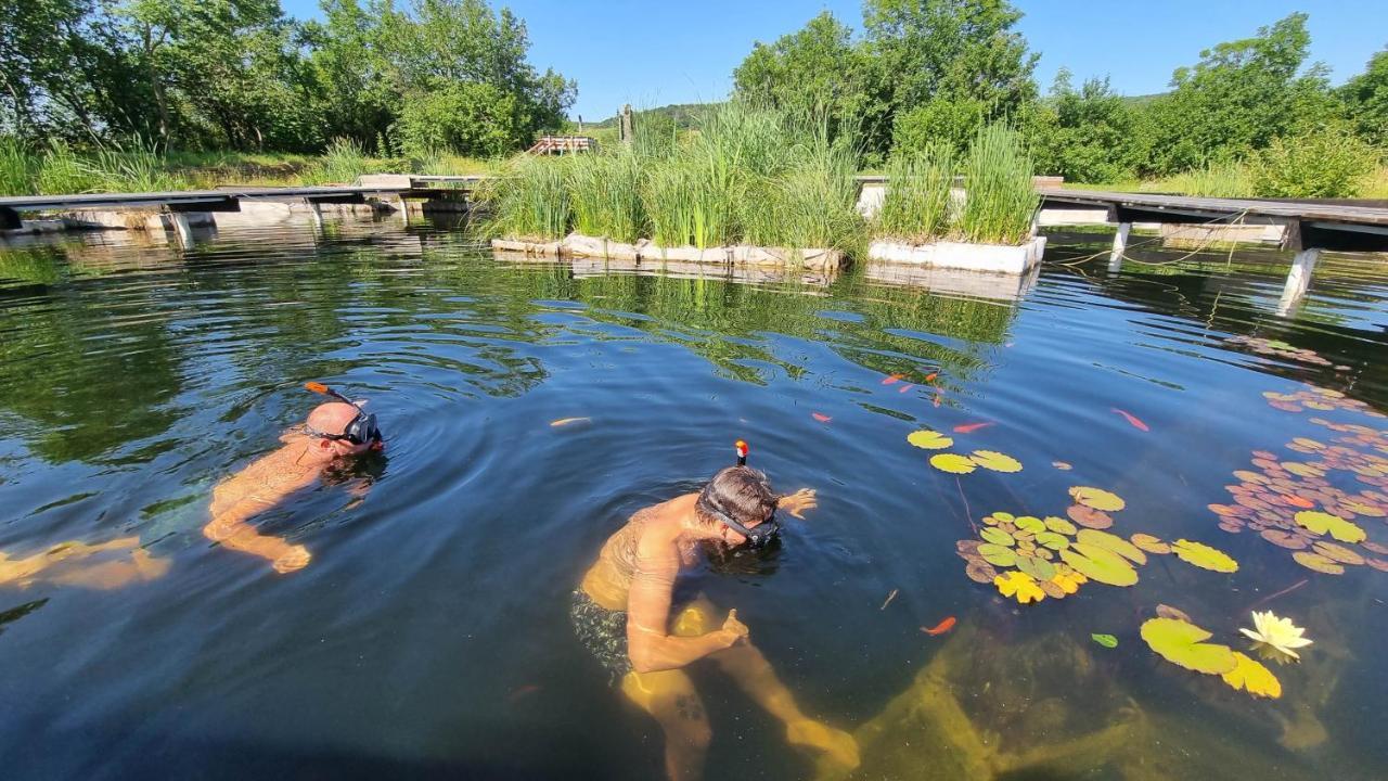 My Lake Glamping Dalnic Εξωτερικό φωτογραφία