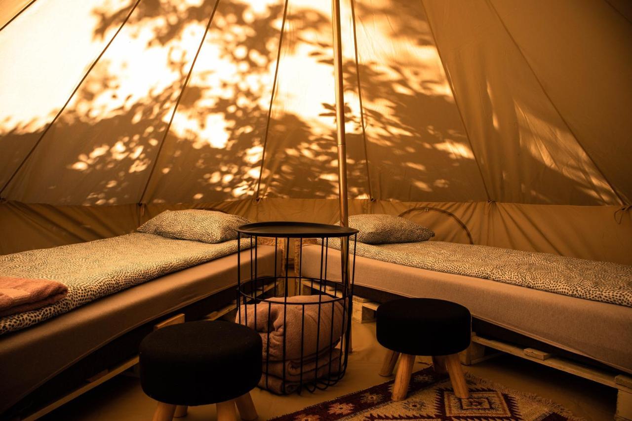 My Lake Glamping Dalnic Εξωτερικό φωτογραφία