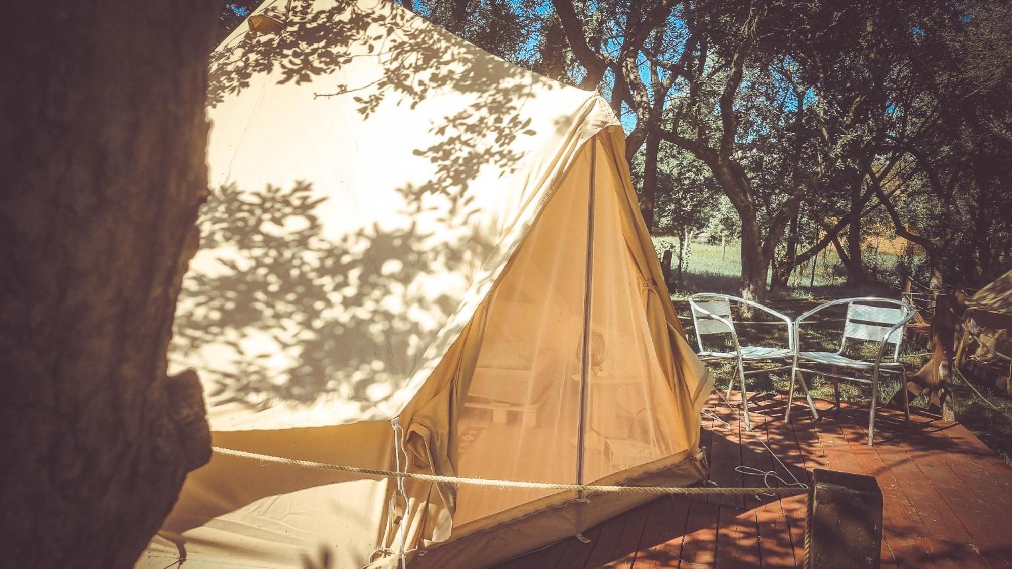 My Lake Glamping Dalnic Εξωτερικό φωτογραφία