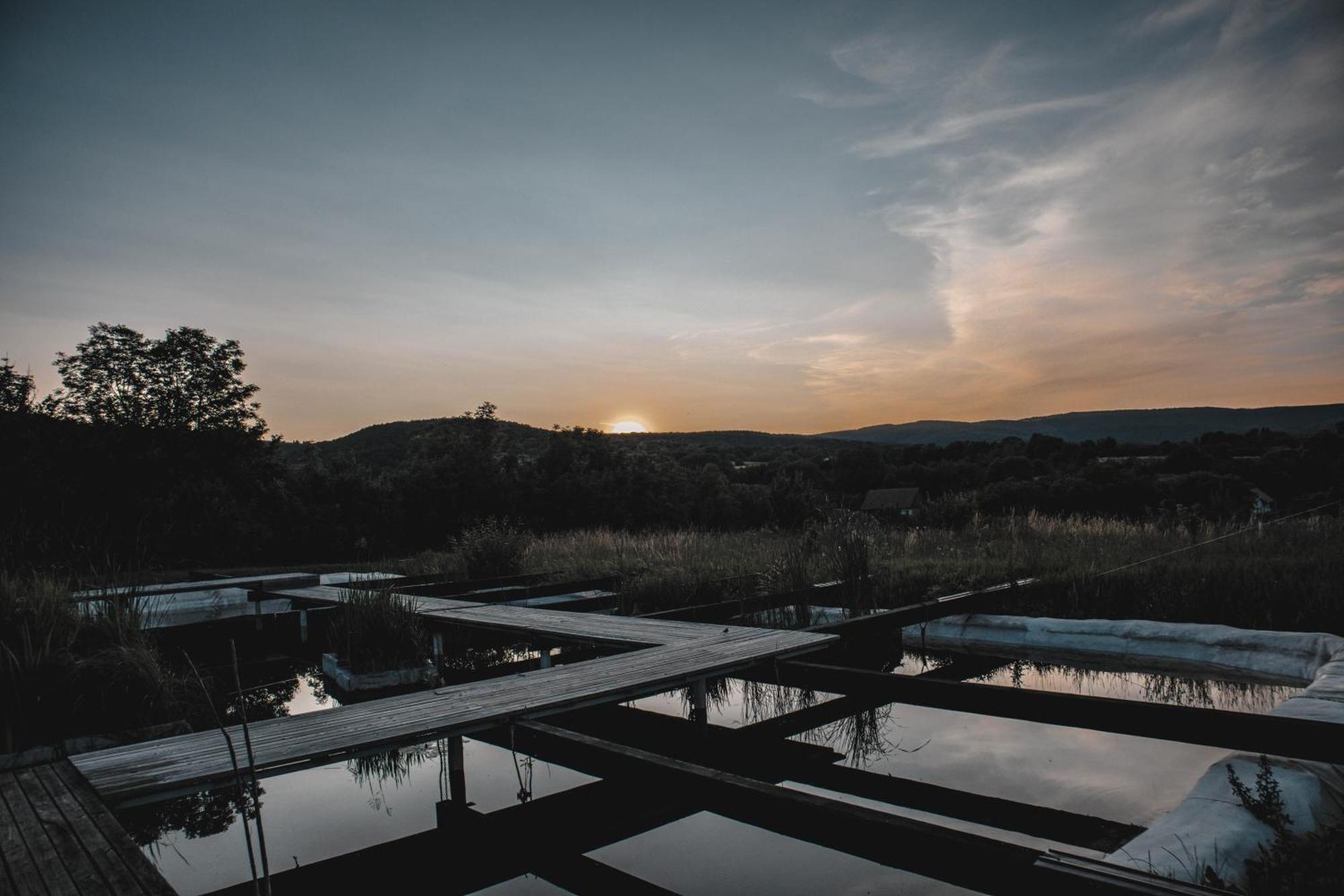My Lake Glamping Dalnic Εξωτερικό φωτογραφία