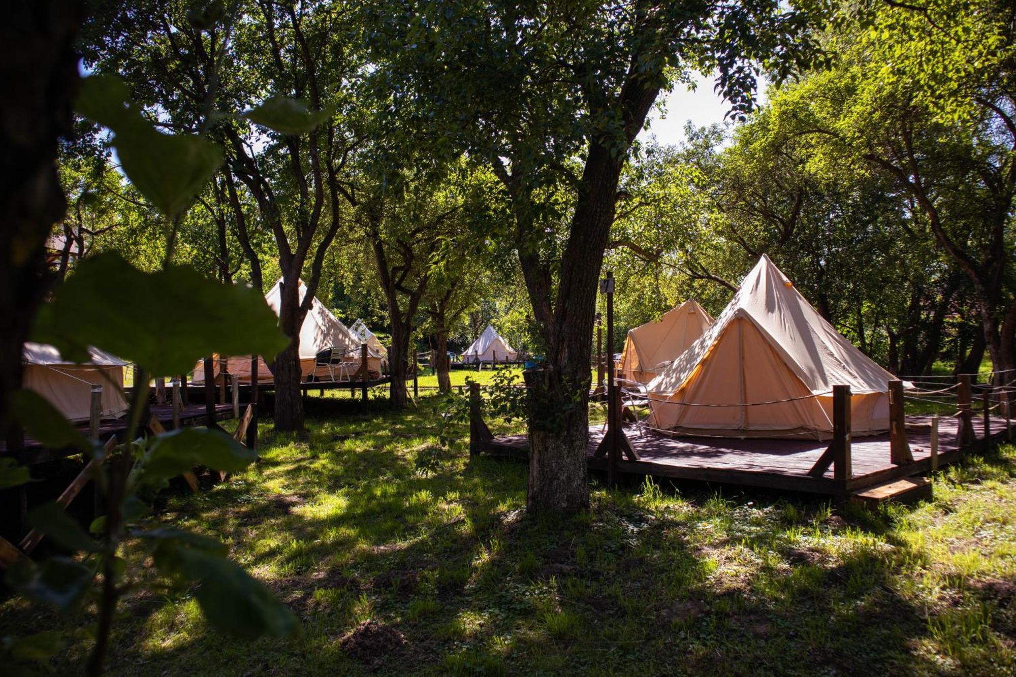My Lake Glamping Dalnic Εξωτερικό φωτογραφία