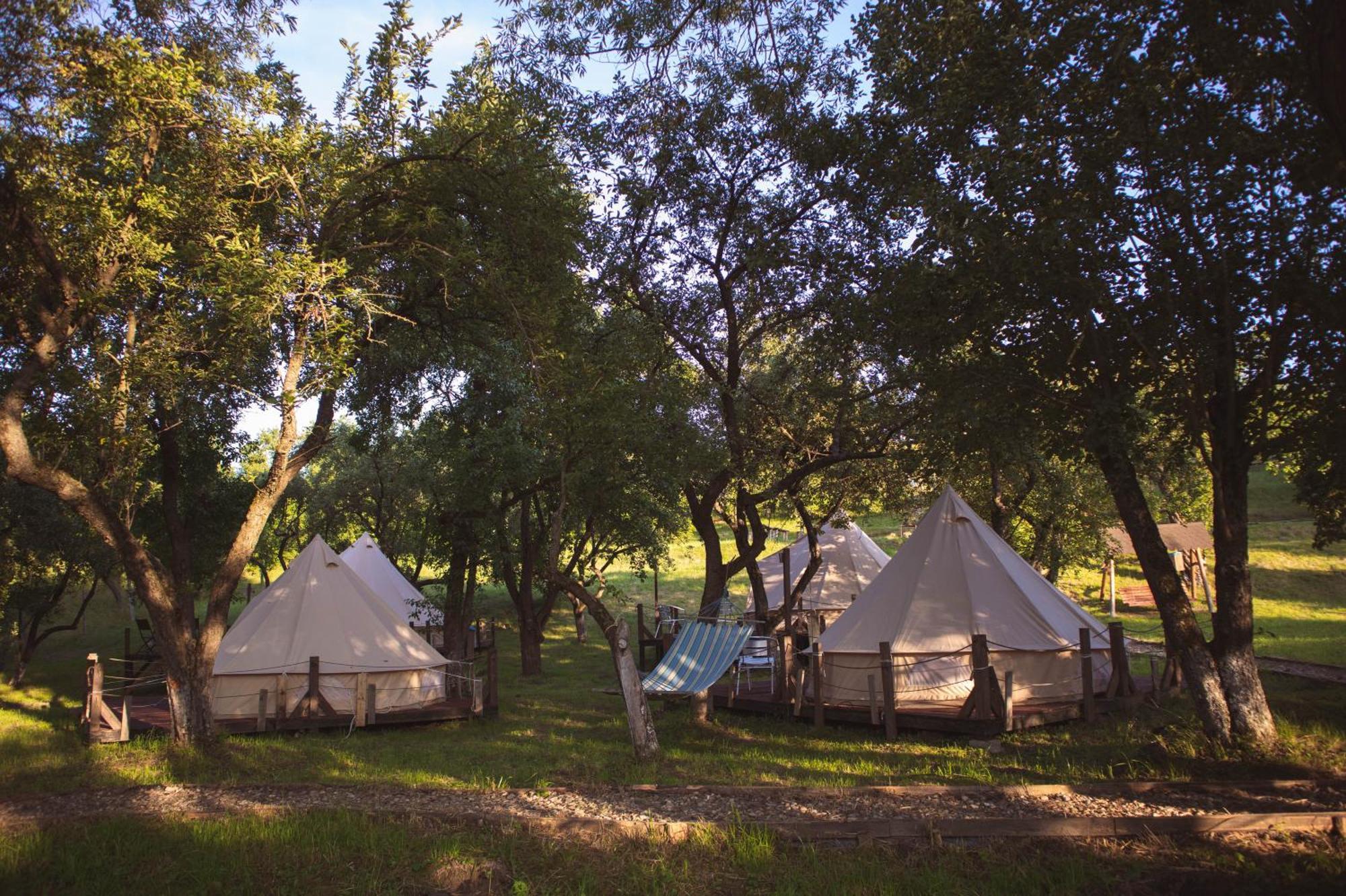 My Lake Glamping Dalnic Εξωτερικό φωτογραφία