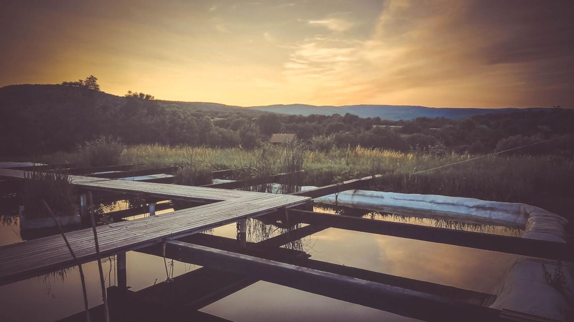 My Lake Glamping Dalnic Εξωτερικό φωτογραφία