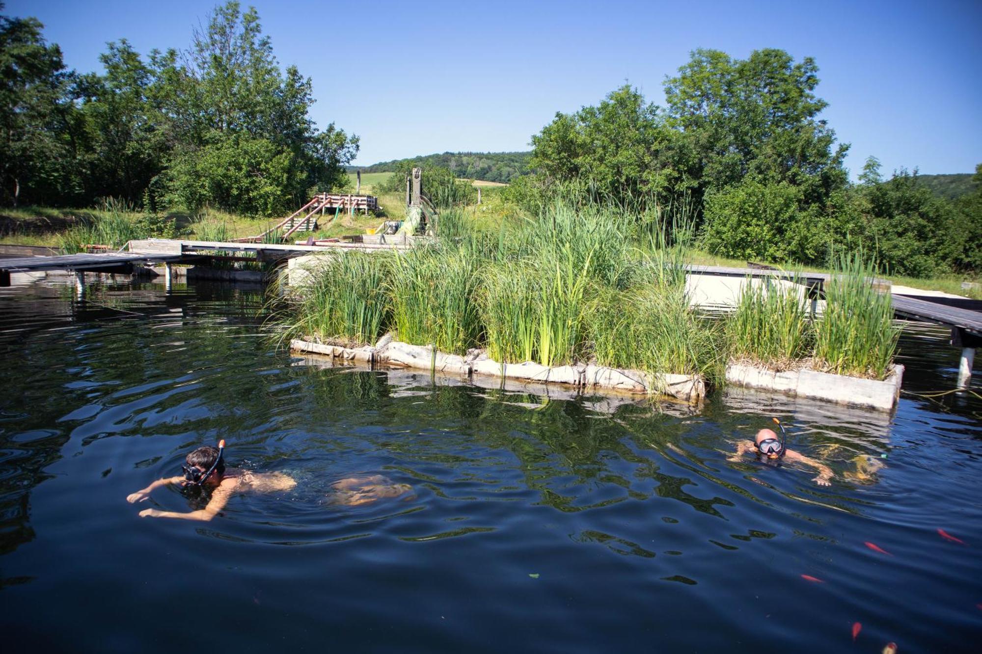 My Lake Glamping Dalnic Εξωτερικό φωτογραφία