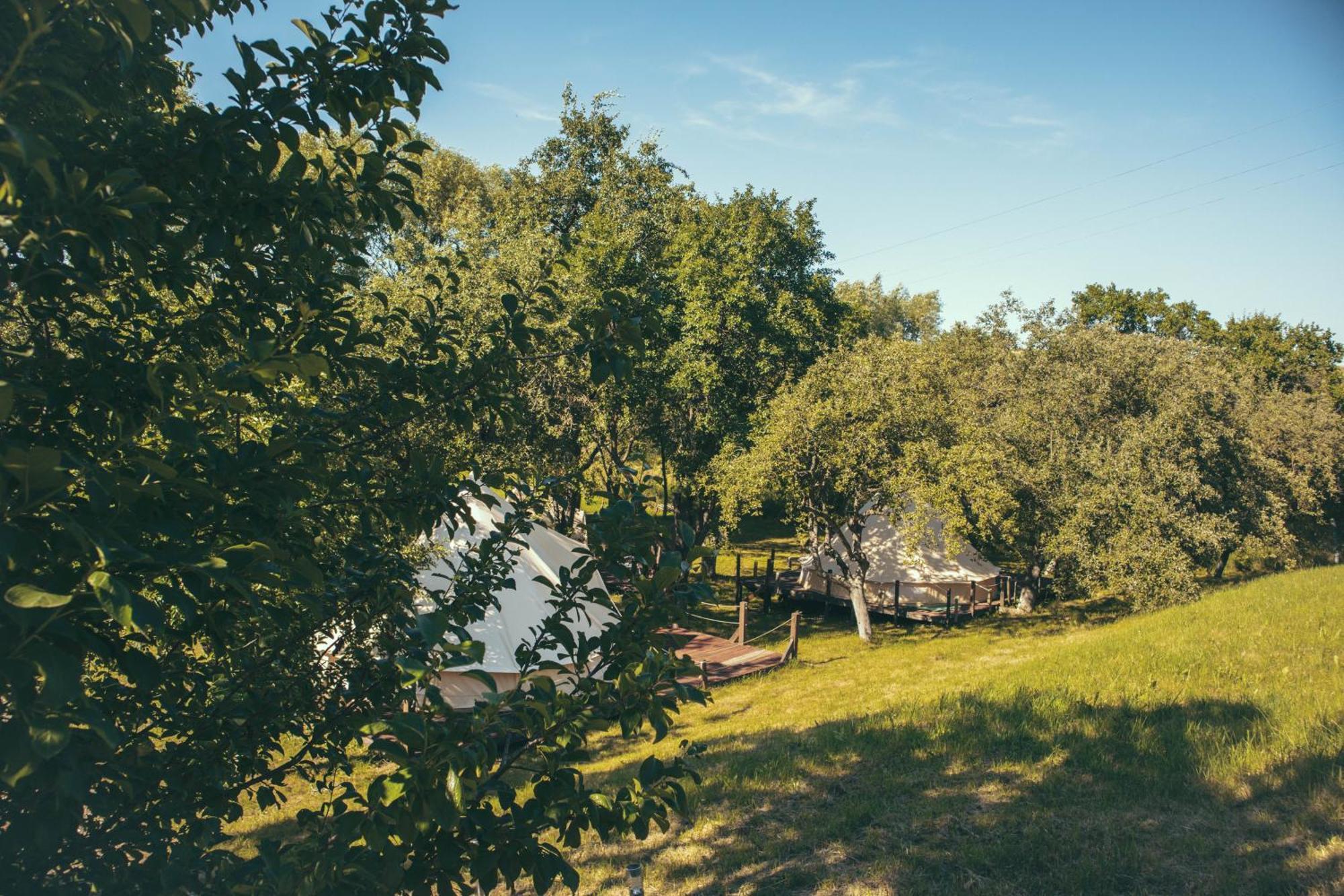 My Lake Glamping Dalnic Εξωτερικό φωτογραφία