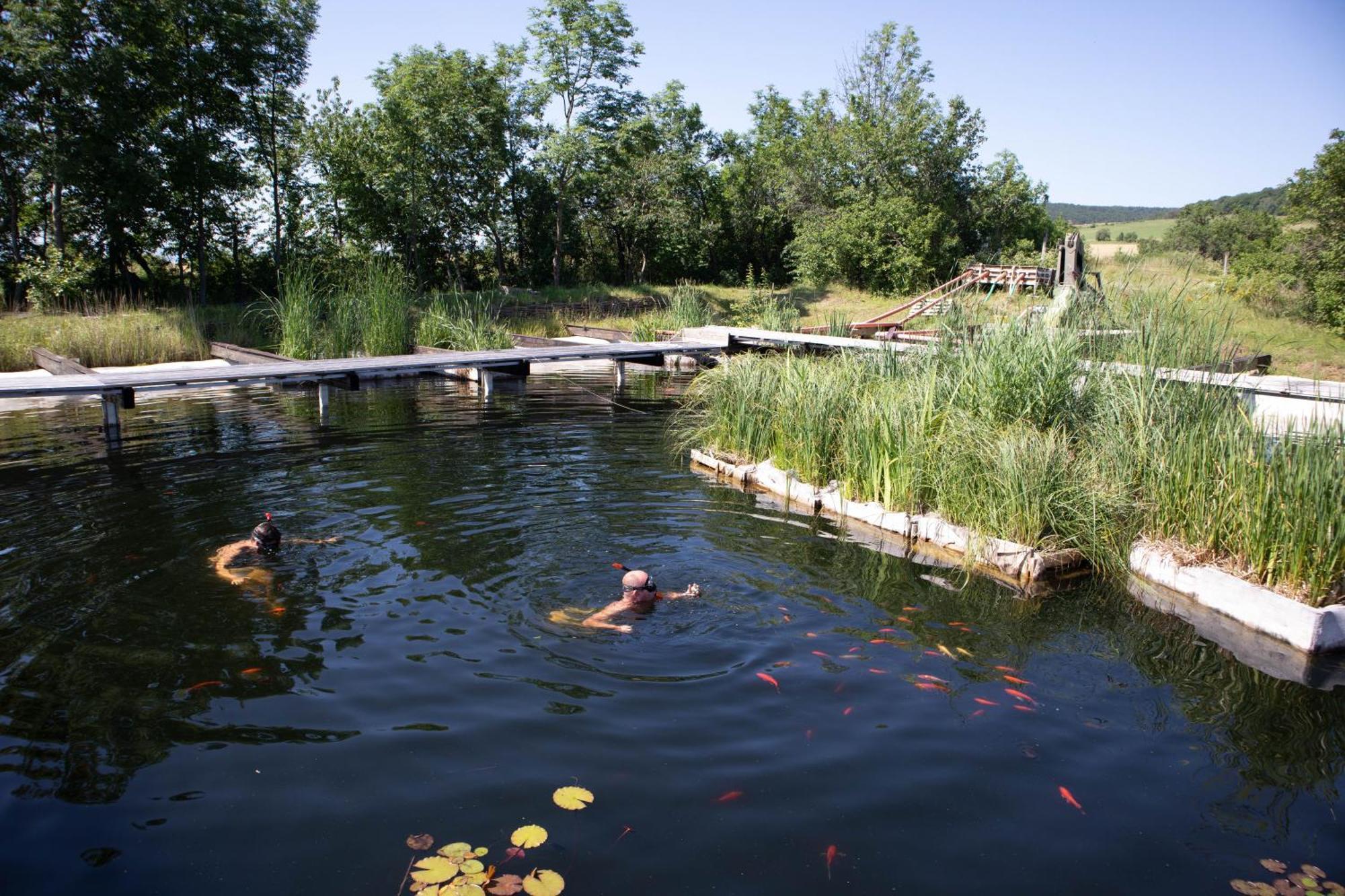 My Lake Glamping Dalnic Εξωτερικό φωτογραφία