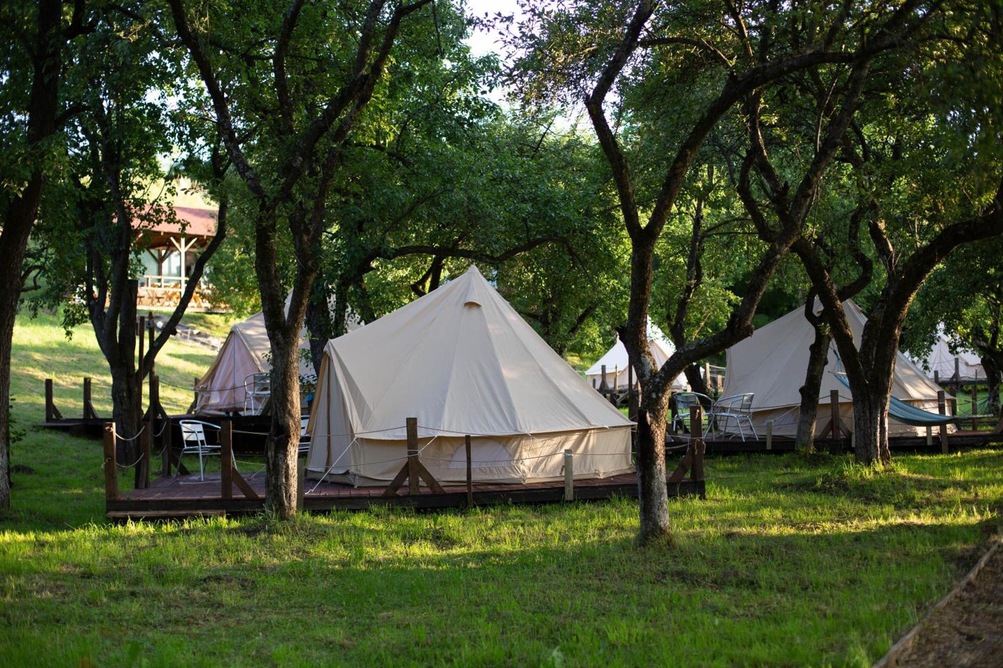 My Lake Glamping Dalnic Εξωτερικό φωτογραφία