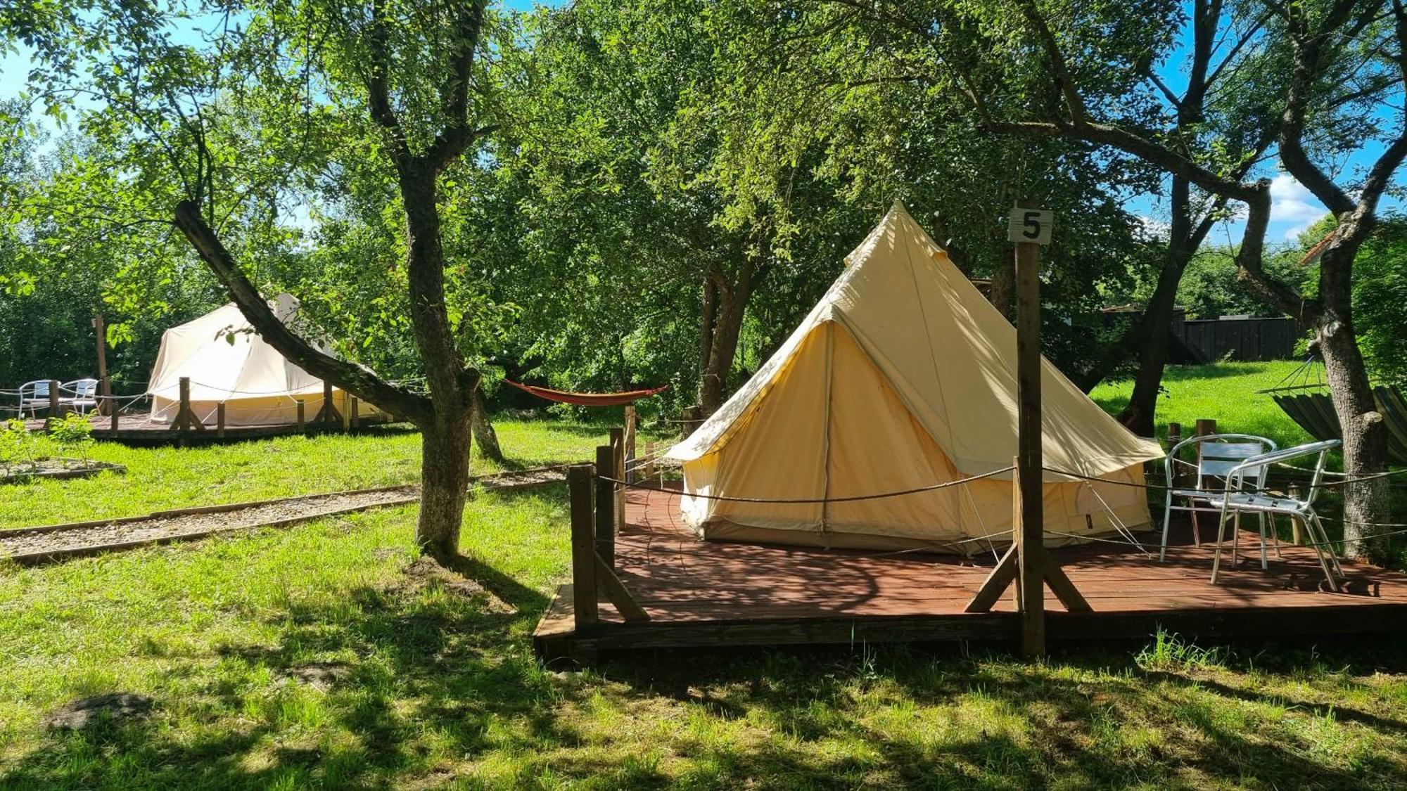 My Lake Glamping Dalnic Εξωτερικό φωτογραφία