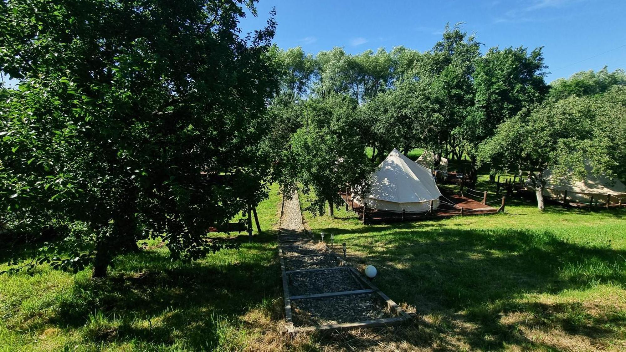 My Lake Glamping Dalnic Εξωτερικό φωτογραφία
