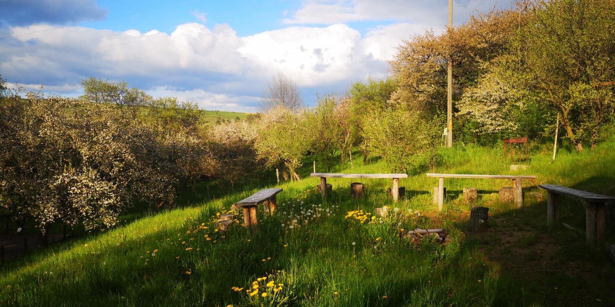 My Lake Glamping Dalnic Εξωτερικό φωτογραφία