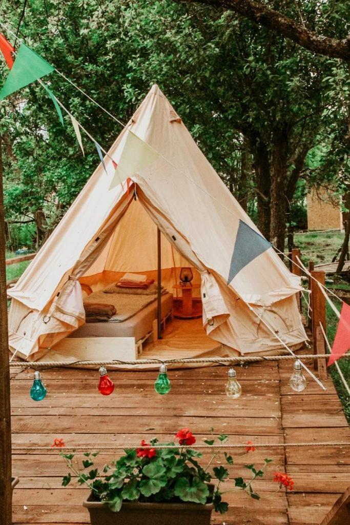My Lake Glamping Dalnic Εξωτερικό φωτογραφία